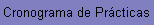 cronograma de la materia